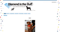 Desktop Screenshot of diamondrescue.org