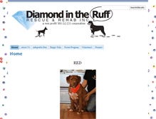 Tablet Screenshot of diamondrescue.org